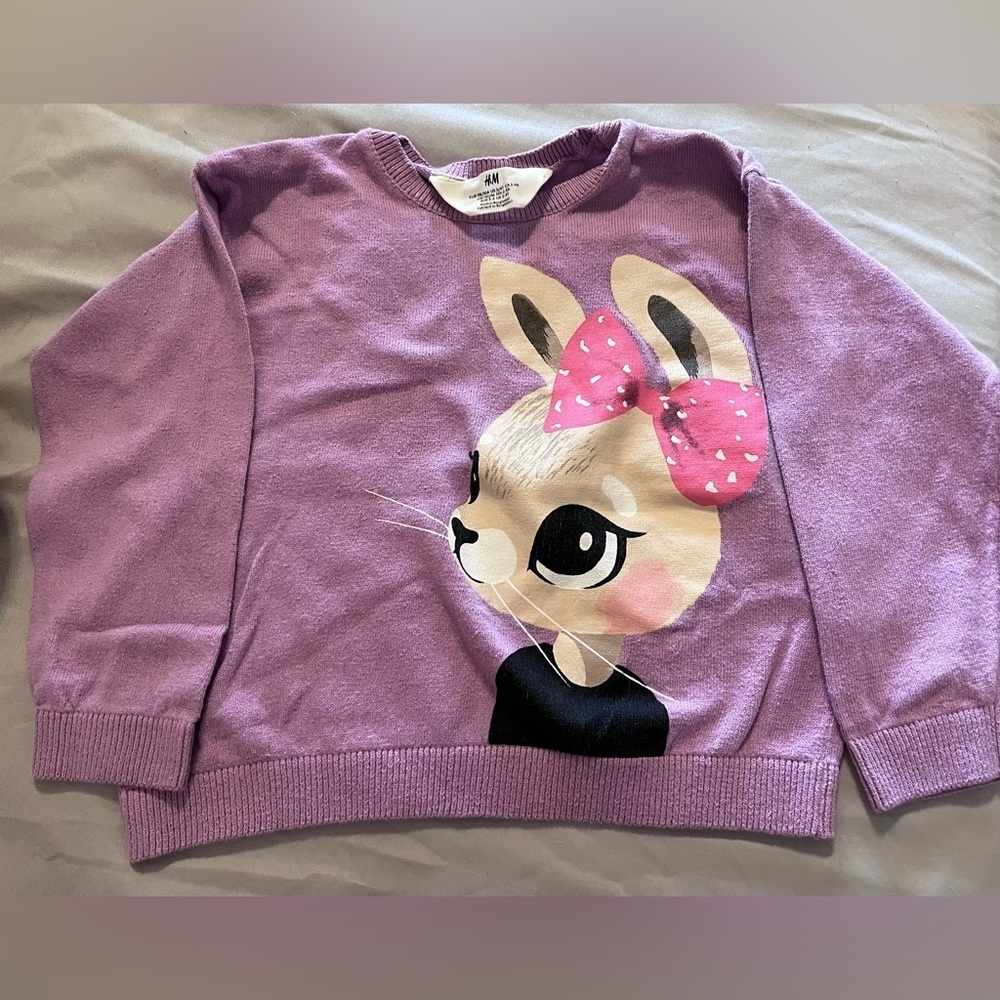 Toddler H&M Sweater